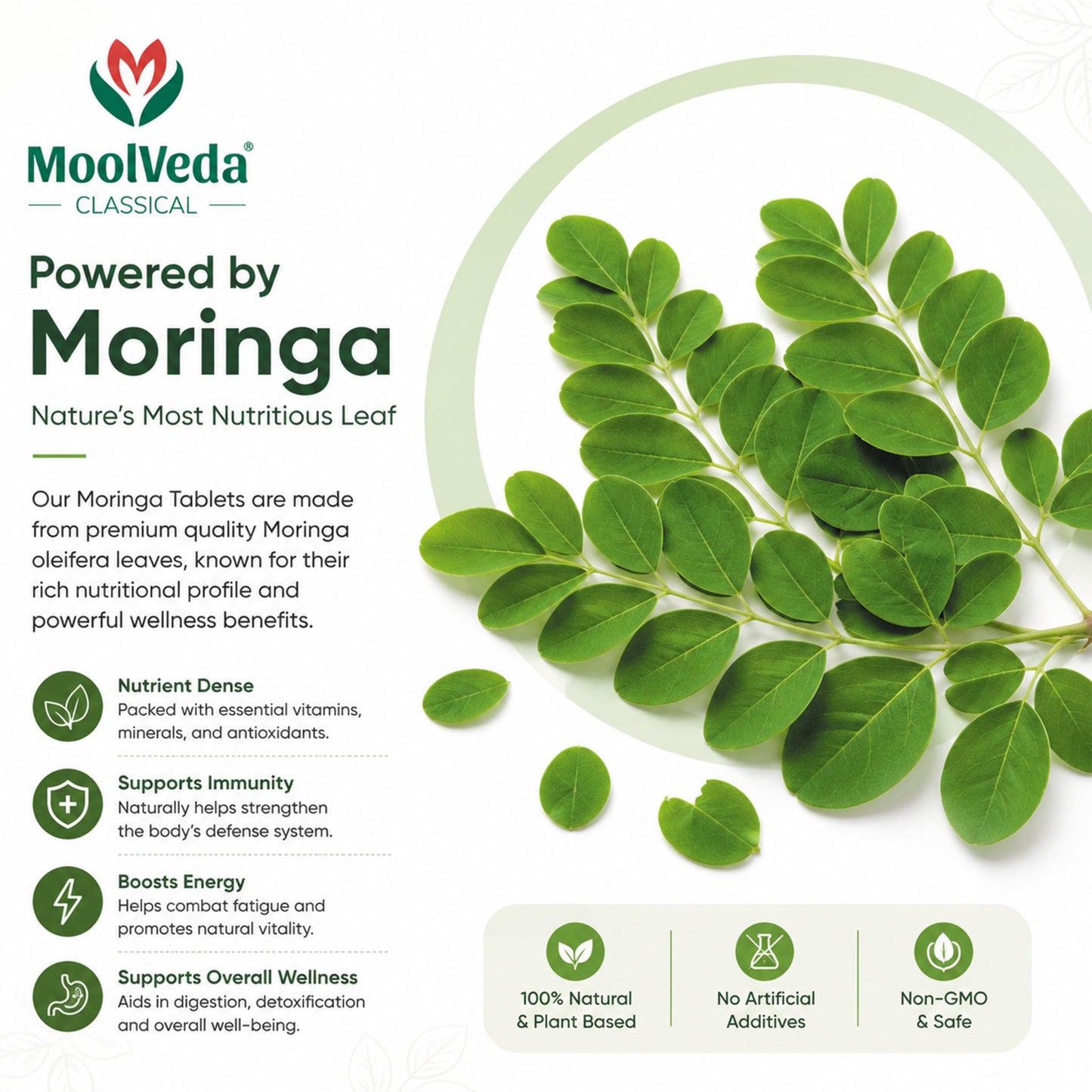 Moolveda Moringa Tablets 60 Veg Tablets | Natural Energy Support | Immune Health Support | Herbal Moringa Supplement for Skin & Hair