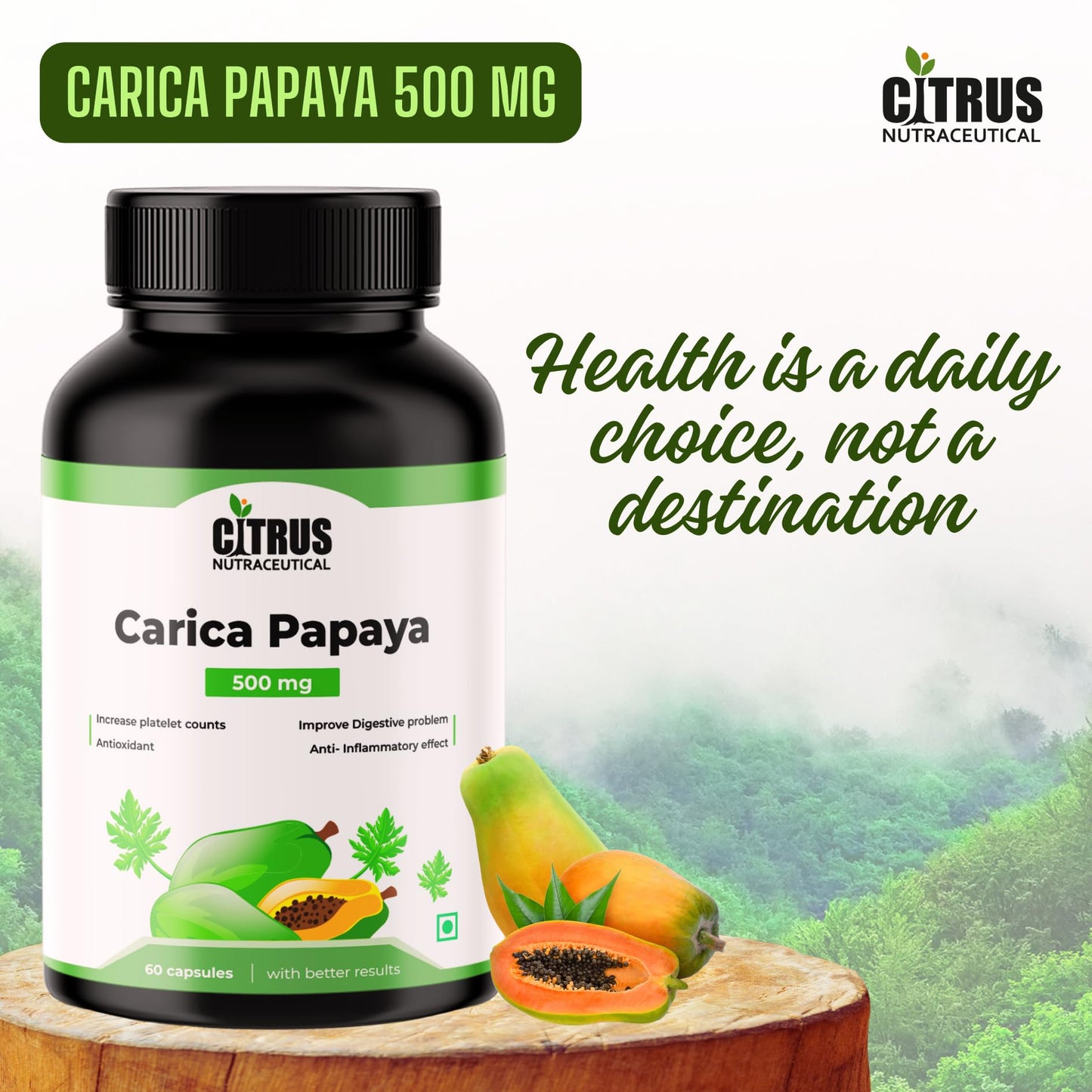 CITRUS NUTRACEUTICAL Carica Papaya Leaf Extract 500mg Capsules | Supports Platelet Health, Immunity & Energy | Natural Herbal Supplement with Papain | 60 Veg Capsules