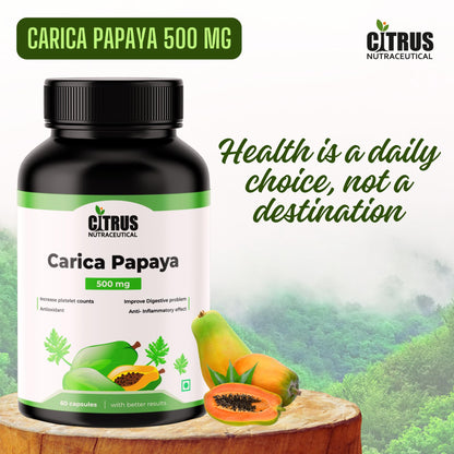 CITRUS NUTRACEUTICAL Carica Papaya Leaf Extract 500mg Capsules | Supports Platelet Health, Immunity & Energy | Natural Herbal Supplement with Papain | 60 Veg Capsules
