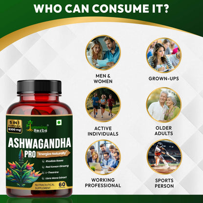 Humming Herbs Ashwagandha Pro - High Potency Adaptogen Blend with Rhodiola Rosea, Red Korean Ginseng, L-Theanine, & Lion's Mane - Natural Stress Relief & Cognitive Support(60 Caps)