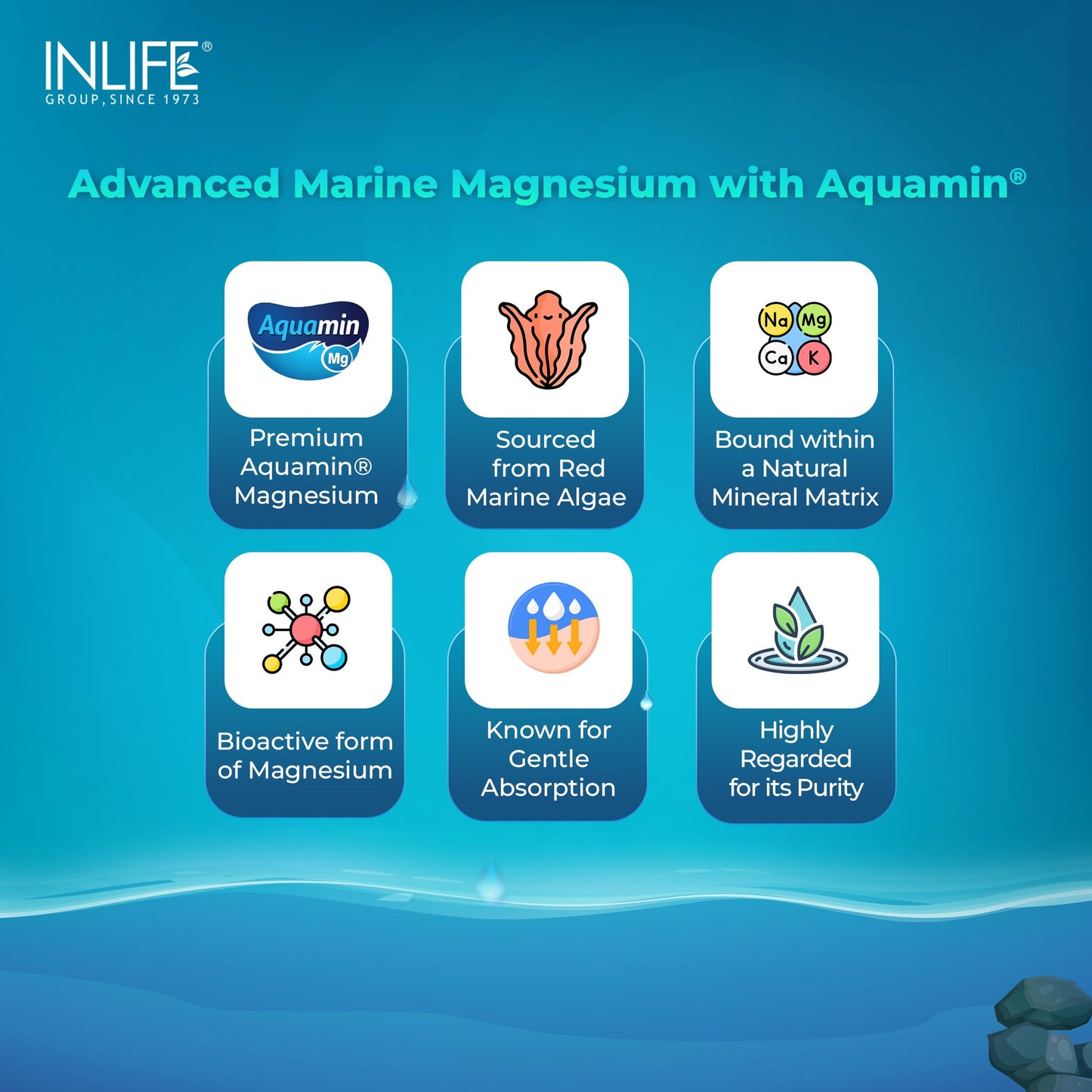 INLIFE Aquamin Marine Magnesium, Highly Bioavailable with 70+ Trace Minerals, Muscle Bone & Gut Health Support, 60 Veg Capsules