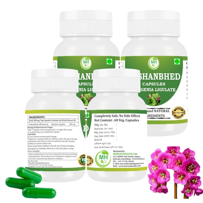 Morsan healthcare Pashanbhed Capsules | Ayurvedic Herbal Formula with Bergenia ligulata | Plant-Based Supplement | Vegan | 60 Veg Capsules | Traditional Botanical Ingredient | pack of 4