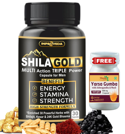 Pteteya Shilagold Shilajit Gold Multi Action New Triple Power Ayurvedic Capsules