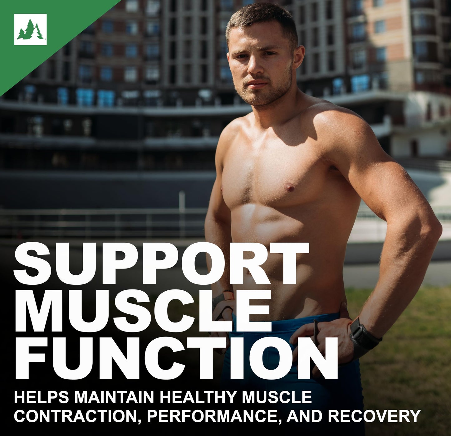 Forest Harvest Magnesium Glycinate | High Absorption Formula for Muscle Function, Relaxation & Nerve Health | 120 Vegetarian Capsules
