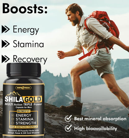 Pteteya Shilagold Shilajit Gold Multi Action New Triple Power Ayurvedic- image 5
