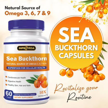 Sea Buckthorn 500mg Capsules for Daily Wellness & Skin Nutrition | Natural Herbal Supplement for Active Lifestyle & Overall Health Support | Monthly Pack - 60Capsules
