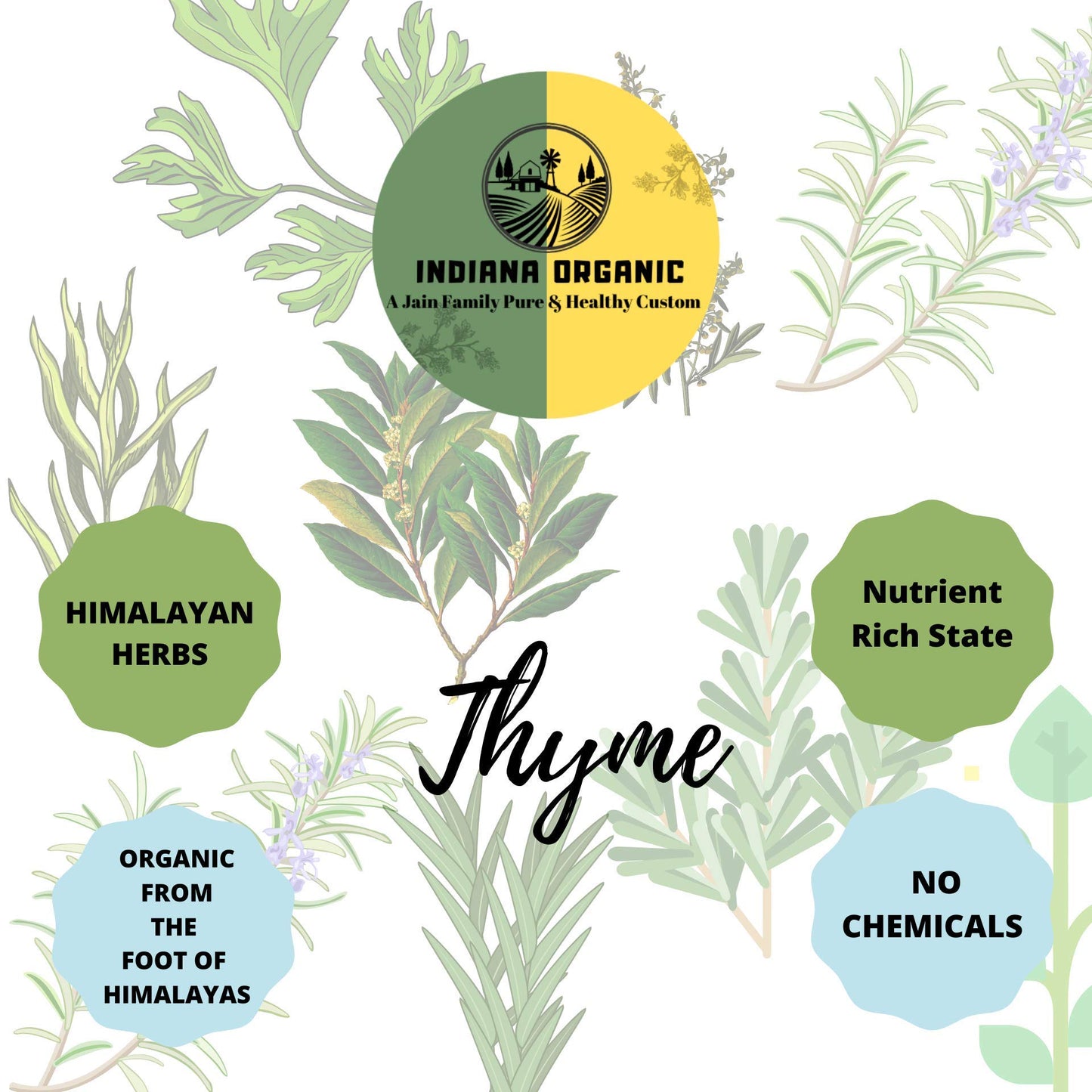 Indiana Organic Thyme herb Dry Whole Leaves - 40 Gm | 100% Natural | No Artificial Colour Flavour added 40 gram (Pack of 1)