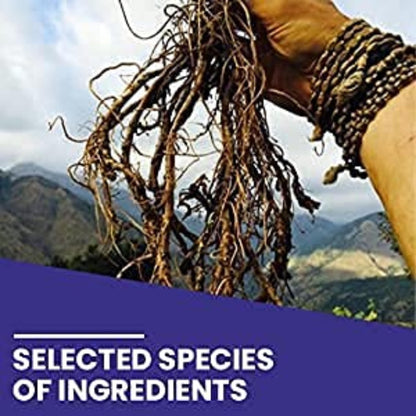 Kamdhenu Laboratories Kutki Powder for Liver Detox - 250 gm, Healthy Gu- image 5