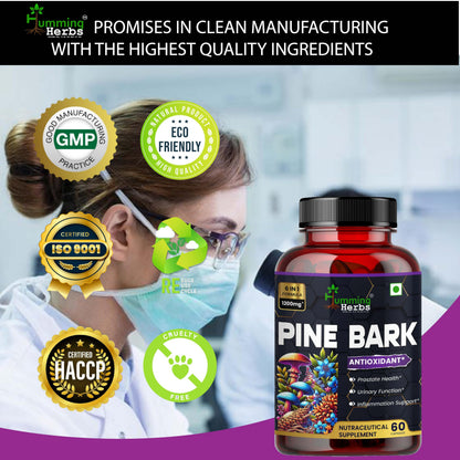 Humming Herbs Pine Bark Extract Capsules 1200mg - Potent Antioxidant for Prostate Health, Urinary Function, and Inflammatory Support - With Lions Mane, Turmeric, Alpha Lipoic Acid