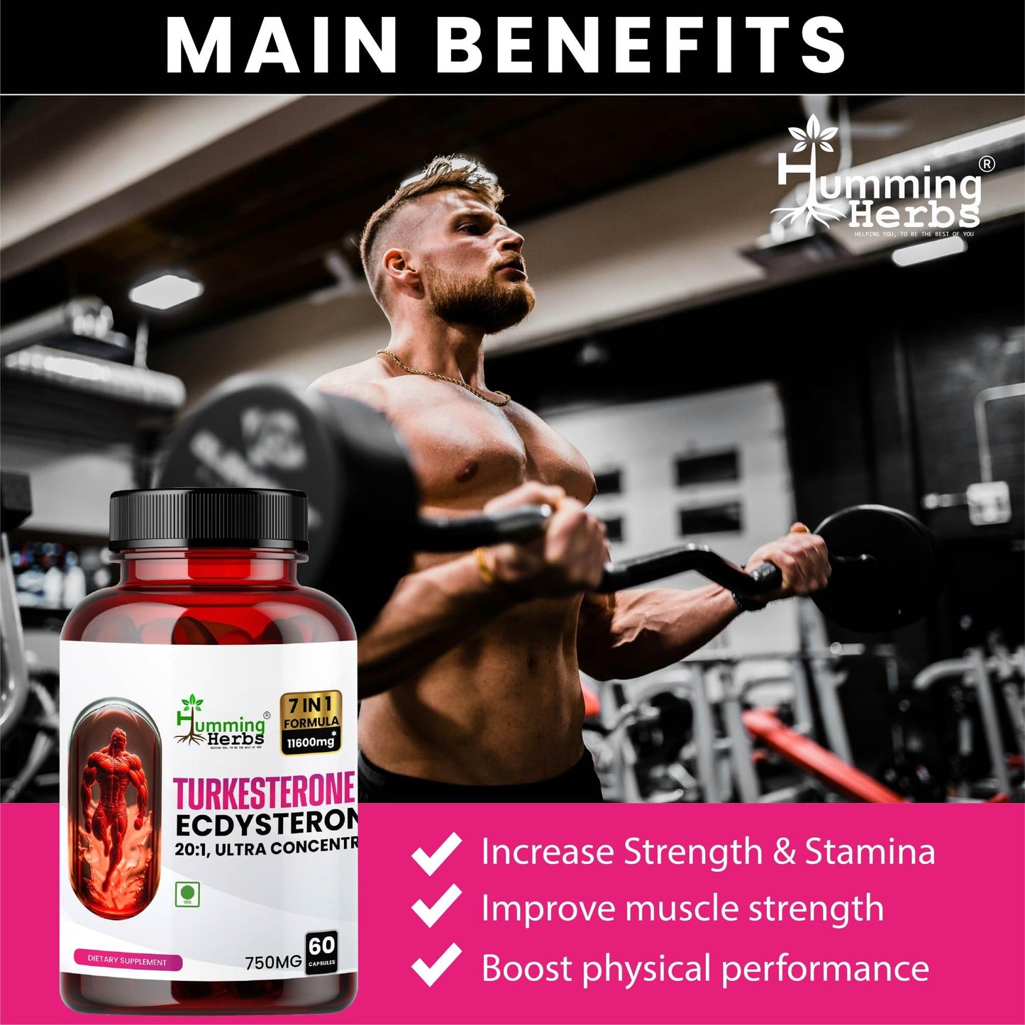 Humming Herbs Turkesterone Ecdysterone Ajuga Turkestanica Supplement with Tongkat Ali Horny Goat weed & maca | Boost Muscle Growth, Memory Support - 60 Capsules