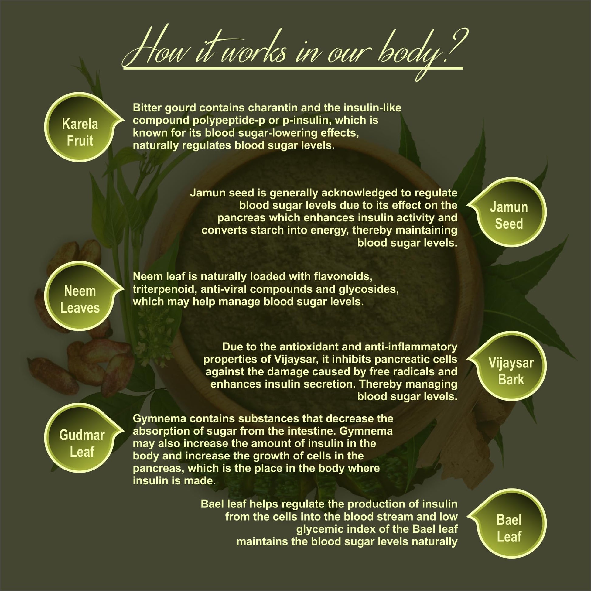 IYUSH Herbal Ayurvedic Karela Jamun Neem Powder with Gudmar, Vijaysar,- image 6