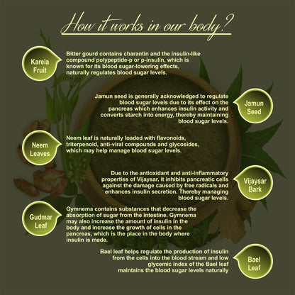 IYUSH Herbal Ayurvedic Karela Jamun Neem Powder with Gudmar, Vijaysar,- image 6