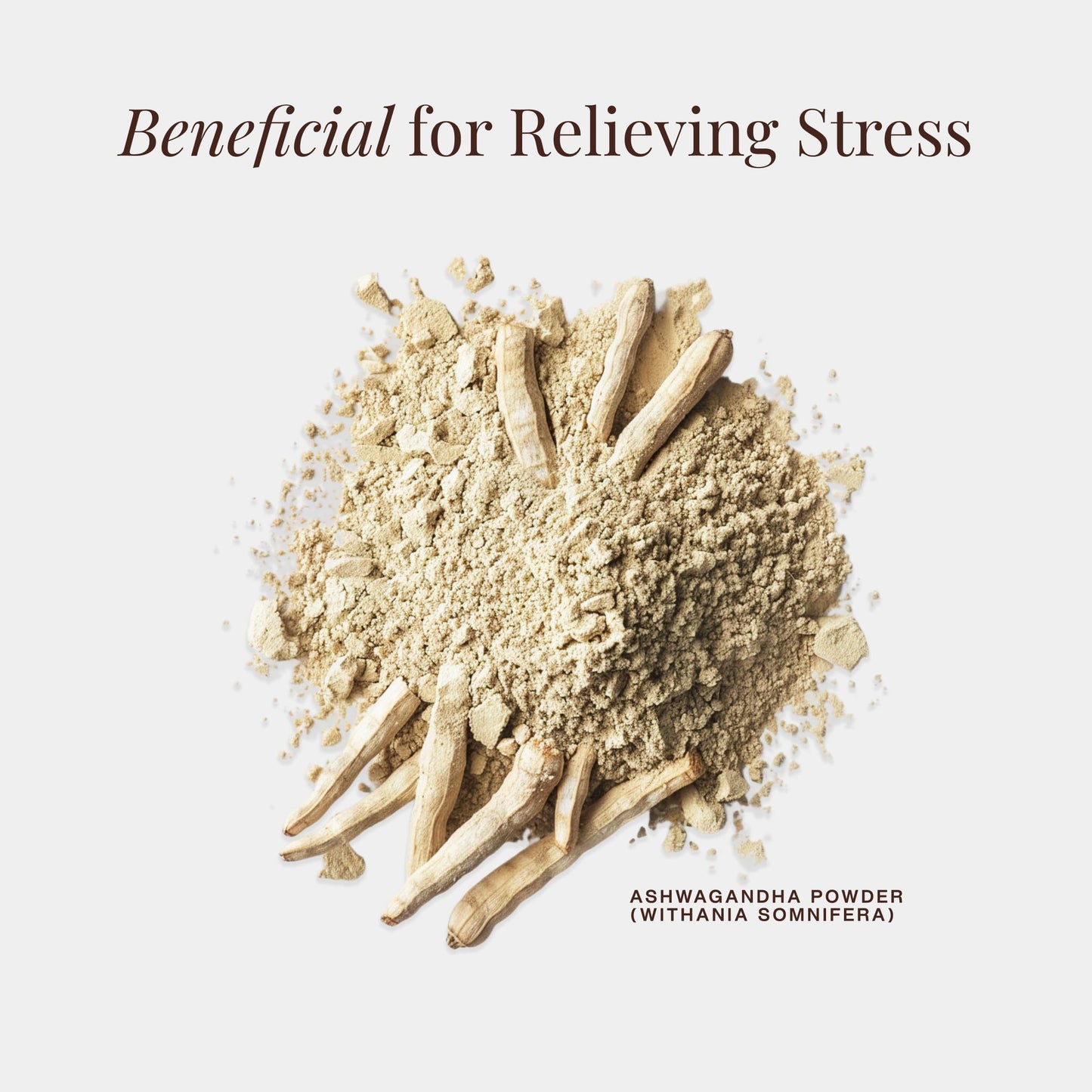 Maadico Organic Ashwagandha Powder, 200 Gms | Ashwagandha Supplements For Energy, Stamina & Wellness Support | Herbal Supplement for Calmness & Daily Health | Good for Immunity & Anxiety Issues |