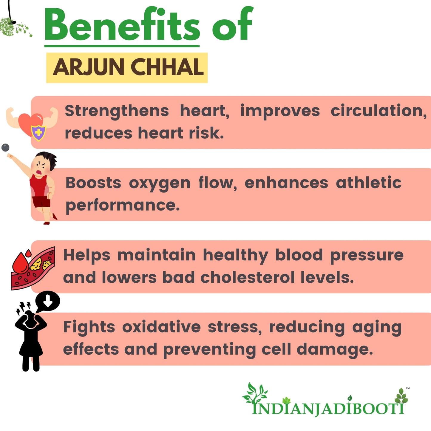 IndianJadiBooti Arjuna Chaal Powder - Arjun ki Chhal Powder - Terminali- image 8