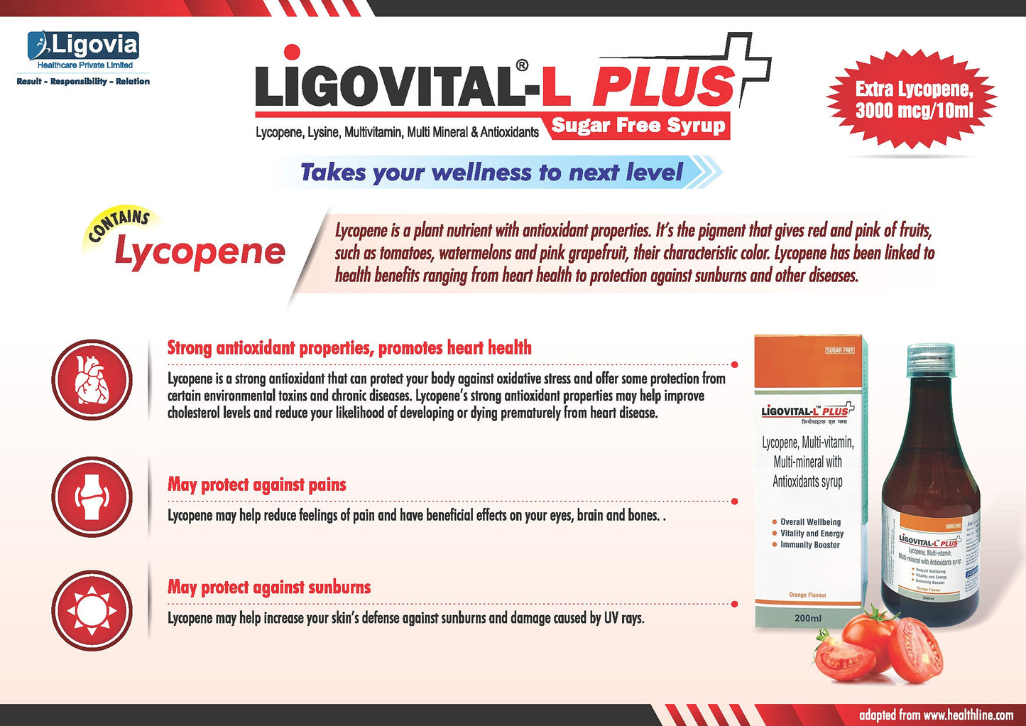 Ligovital L Plus-Lycopane,Multi-vitamin,Multi-Mineral With Antioxidants Syrup (Pack Of 2)