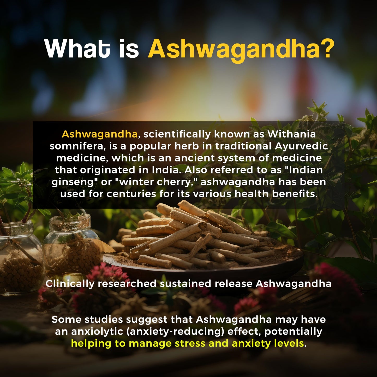 HEALTH VEDA ORGANICS PRIVATE LIMITED Ashwagandha 1000Mg | High Strength Potent Formula | Boosts Immunity & Energy | Rejuvenates Mind & Body | 60 Veg Tablets | For Both Men & Women