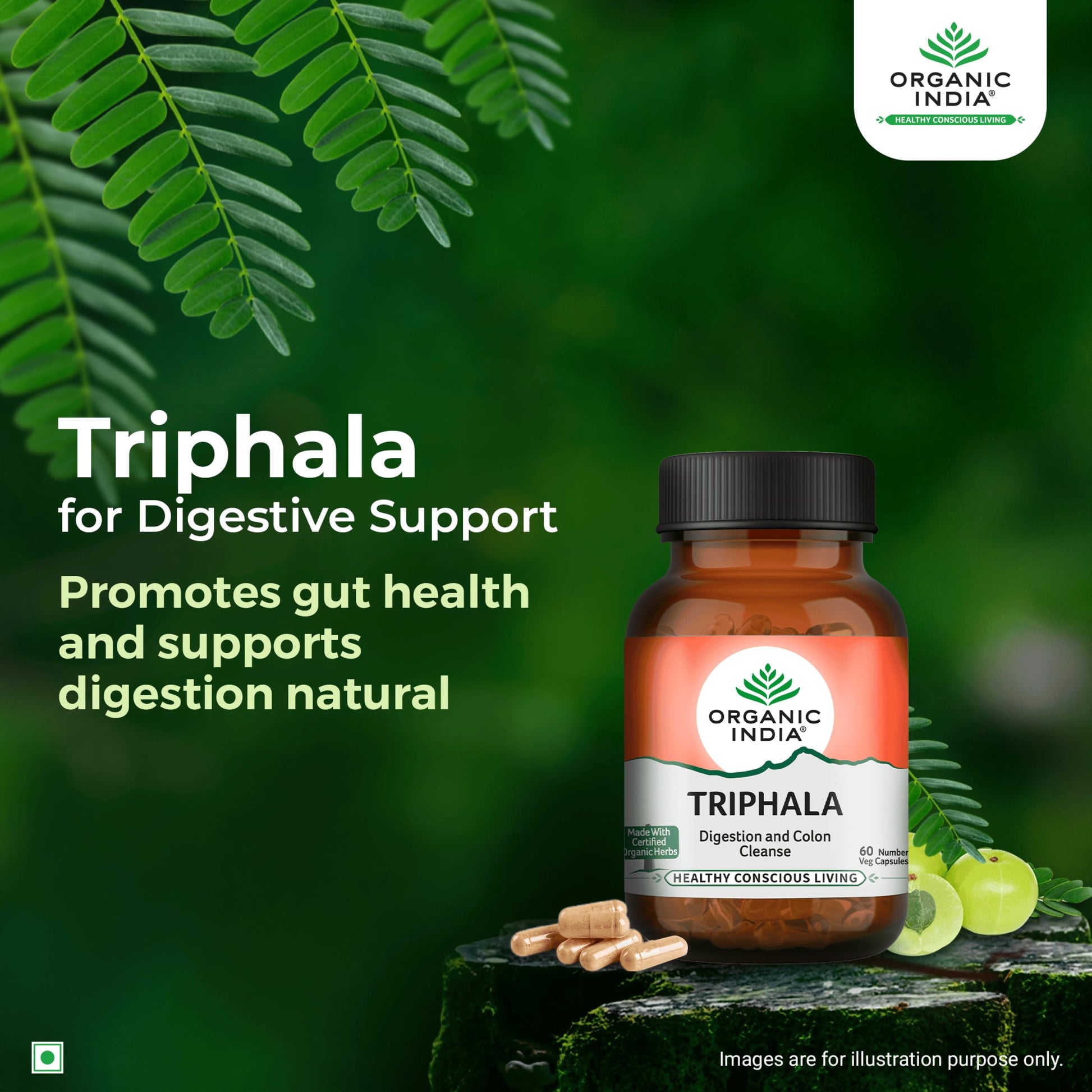 Organic India Triphala 60 Capsules Bottle- image 9