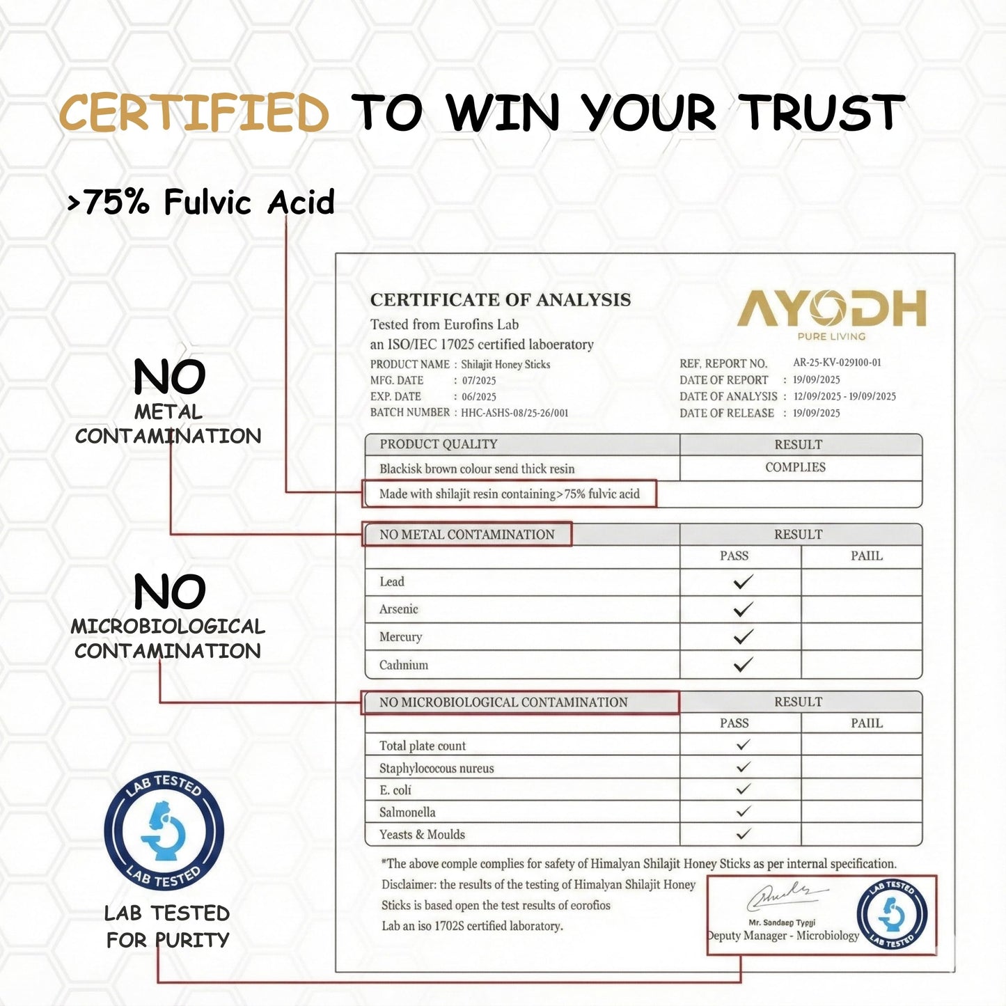 AYODH Himalayan Shilajit Honey Sticks Dark Chocolate Flavor (30 Count) | 75 Fulvic Acid Trace Minerals | Natural Energy Immunity Boost | Pack of 2