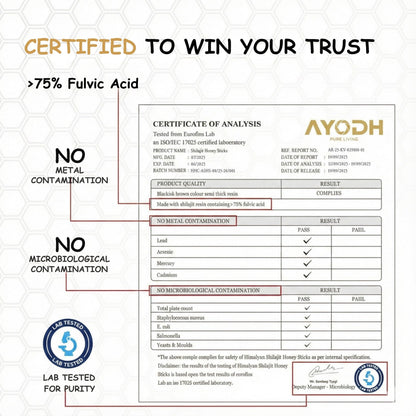 AYODH Himalayan Shilajit Honey Sticks Dark Chocolate Flavor (30 Count) | 75 Fulvic Acid Trace Minerals | Natural Energy Immunity Boost | Pack of 2