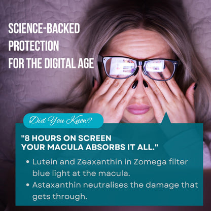 ZOMEGA Omega-3 Eye Health Softgel Capsules with Lutein, Zeaxanthin & Astaxanthin | Vision Support, Blue Light Protection & Retinal Health | Advanced AREDS-Inspired Formula | 10 Softgels (Pack of 6)