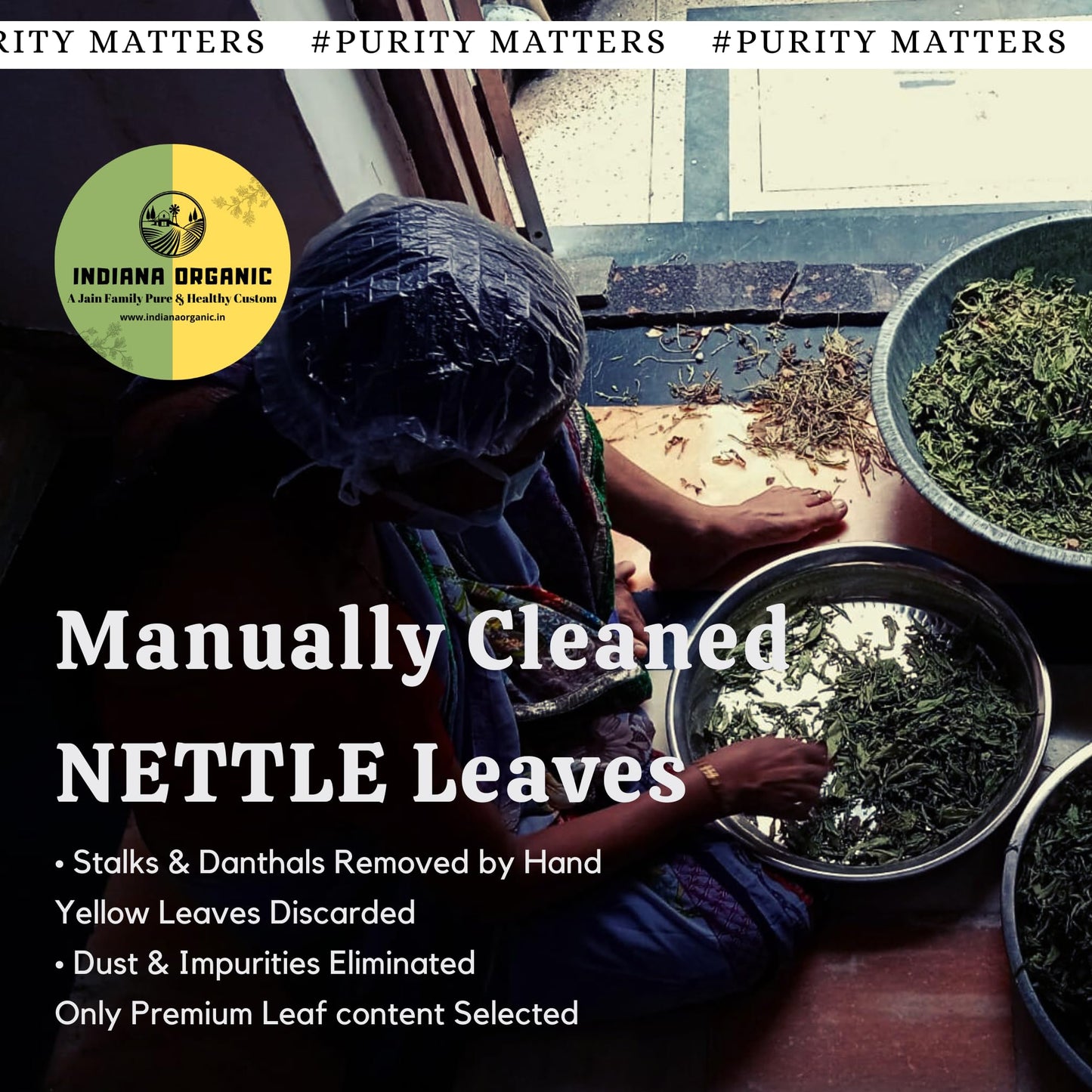 Indiana Organic Nettle Leaf (Pure & Natural Himalayan Herbs) - 30g | Manually Cleaned Whole stinging nettle Leaves for Herbal Tea & Detox | Supports Respiratory Health, Immunity & Bone Wellness | Non-GMO & No Preservatives - 30 gram