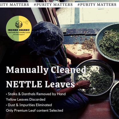 Indiana Organic Nettle Leaf (Pure & Natural Himalayan Herbs) - 30g | Manually Cleaned Whole stinging nettle Leaves for Herbal Tea & Detox | Supports Respiratory Health, Immunity & Bone Wellness | Non-GMO & No Preservatives - 30 gram