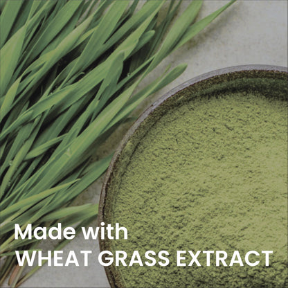 Smart Organics Wheatgrass Powder – 100% Organic – Superfood – Rich in Chlorophyll & Nutrients (100 g)