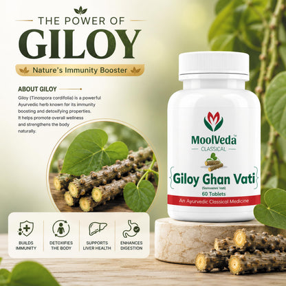 Moolveda 100% Pure and Natural Giloy Ghan Vati Tablet For Immunity Boosting, Use for Enhances Strength & Stamina, Detoxifies the Body (Pack Of 2)