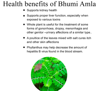 ERBZENERG® Phyllanthus Niruri (Kilanelli)(Bhumi Amala) tamalaki 60 Capsules (Pack of 2)