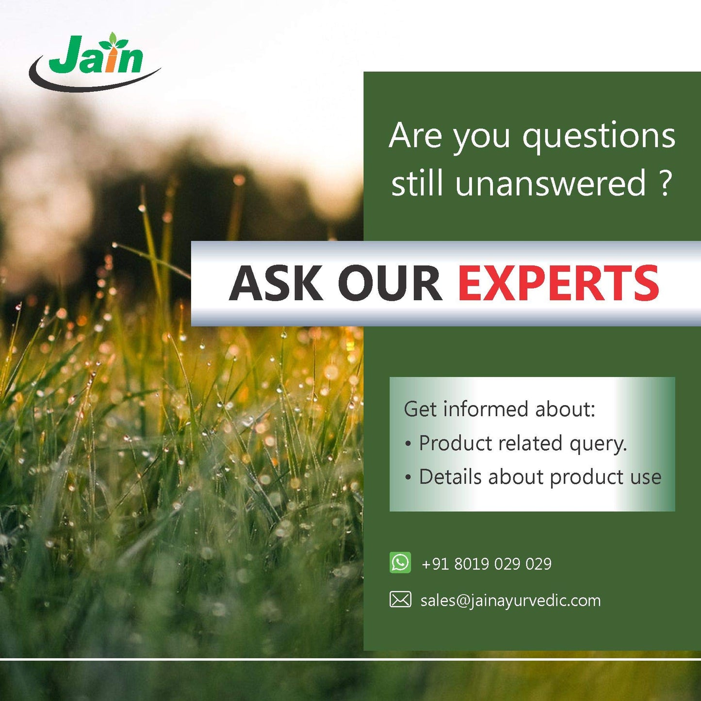 Jain Amla Powder 400g |100% Pure Phyllanthus Emblica Ayurvedic Herbal S- image 2