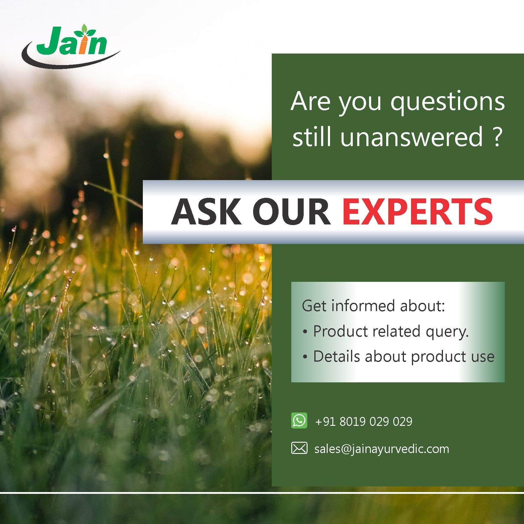 Jain Amla Powder 400g |100% Pure Phyllanthus Emblica Ayurvedic Herbal S- image 2