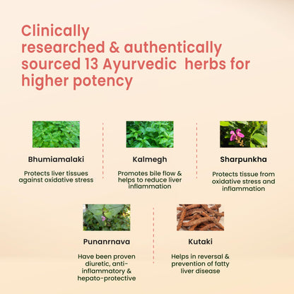 Vedistry Livercare Tablets | Ayurvedic Liver Detox Supplement for Fatty- image 7