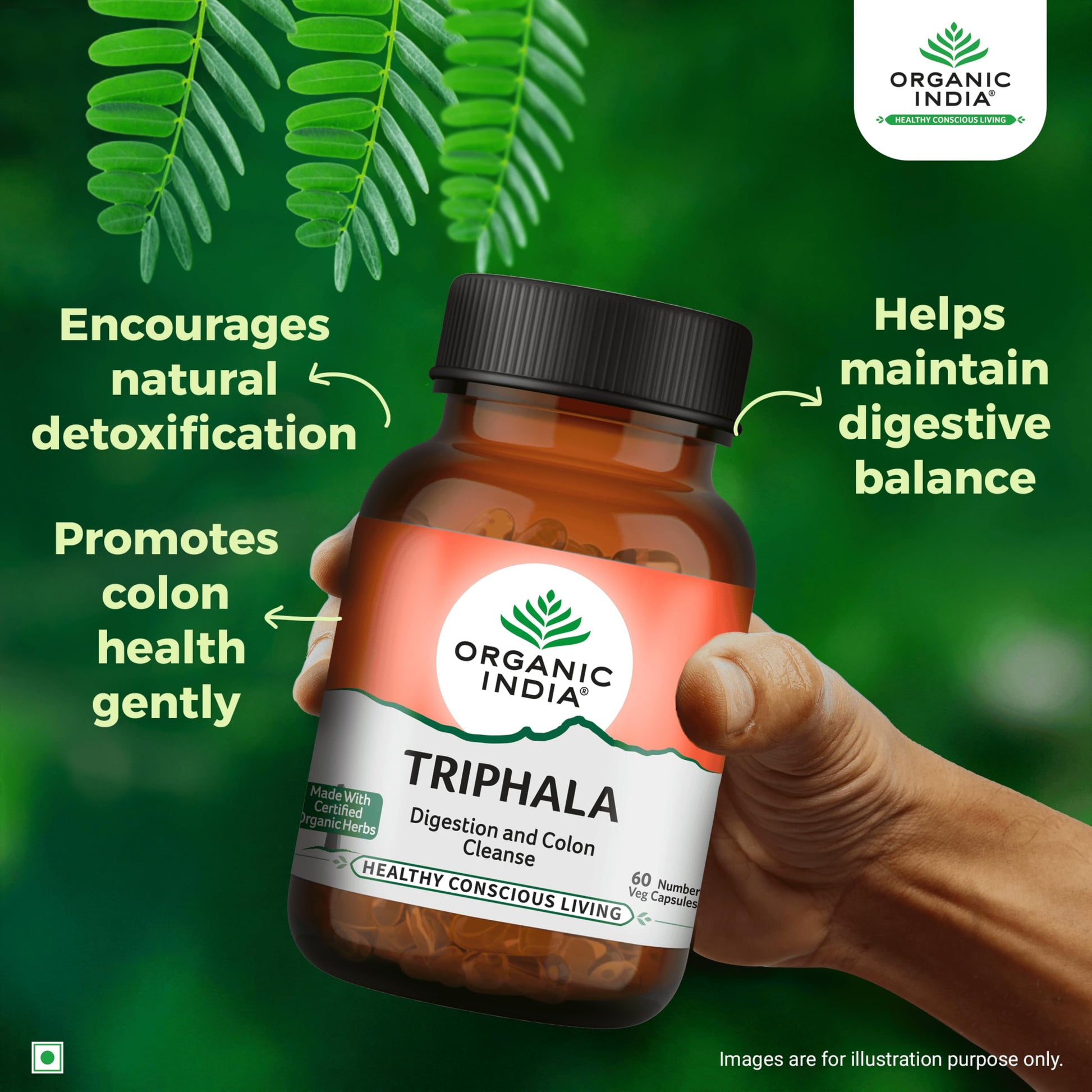 Organic India Triphala 60 Capsules Bottle- image 8