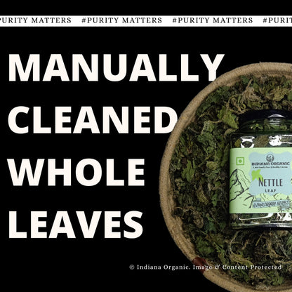 Indiana Organic Nettle Leaf (Pure & Natural Himalayan Herbs) - 30g | Manually Cleaned Whole stinging nettle Leaves for Herbal Tea & Detox | Supports Respiratory Health, Immunity & Bone Wellness | Non-GMO & No Preservatives - 30 gram