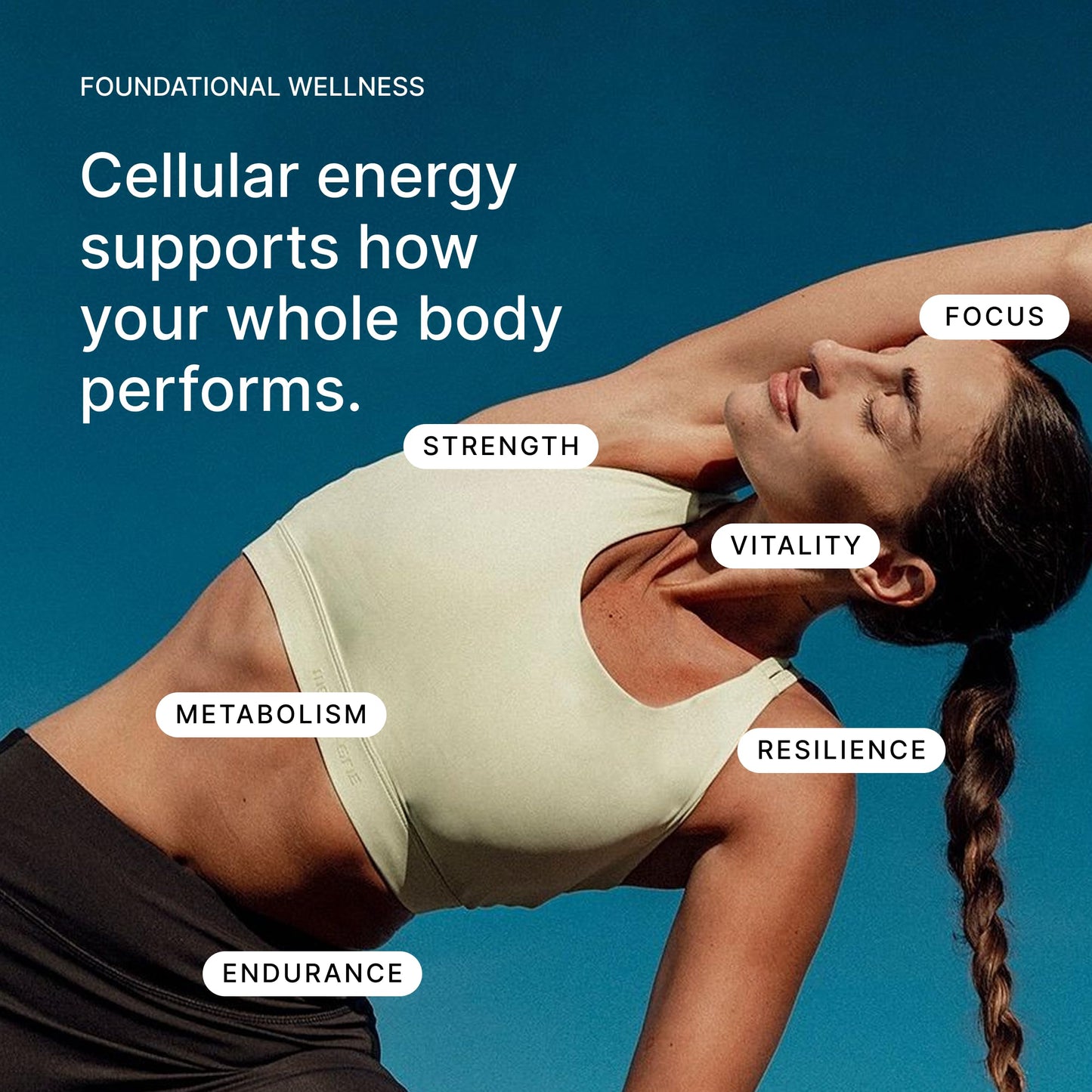 Muscalar Pro M3 Urolithin A 1000mg | Clinically Proven for Muscle Strength & Recovery, Cellular Recovery, and Anti-Aging | with Spermidine & S-Allyl Cysteine for Healthy Aging, Longevity, & Cellular Wellness | Mitoceutical Supplement for Men and Women | 6