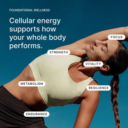Muscalar Pro M3 Urolithin A 1000mg | Clinically Proven for Muscle Strength & Recovery, Cellular Recovery, and Anti-Aging | with Spermidine & S-Allyl Cysteine for Healthy Aging, Longevity, & Cellular Wellness | Mitoceutical Supplement for Men and Women | 6
