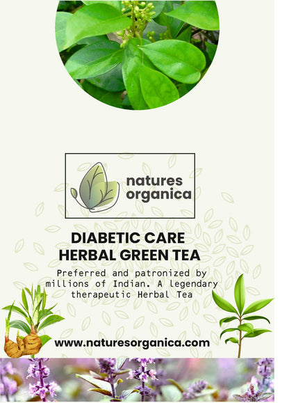 Natures Organica Diabetic Care Green Tea 100g | Herbal Anti-Diabetic Wellness with Gymnema Sylvestre, Jamun Seeds, Paneer Dodi, Giloy & Cinnamon | Supports Healthy Sugar Levels | Premium Darjeeling Green Tea Leaves