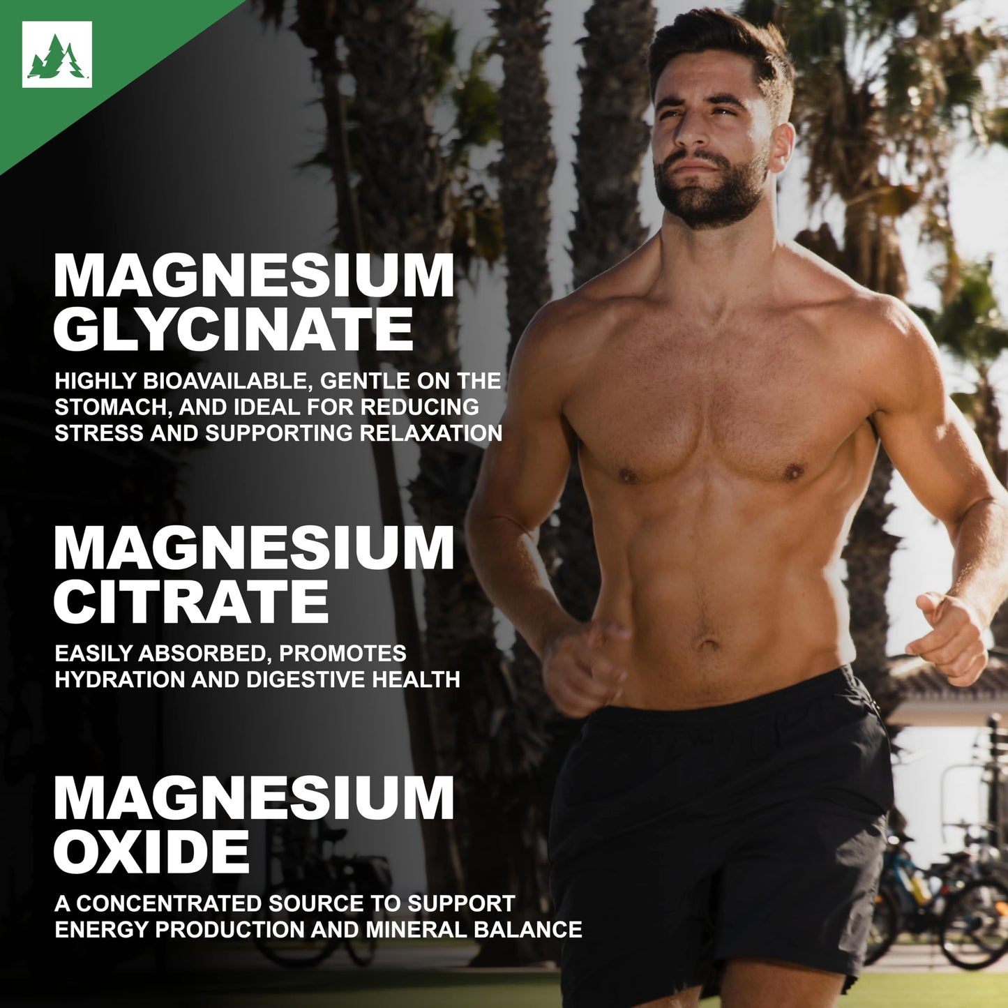 Forest Harvest Magnesium Complex | Magnesium Glycinate, Citrate & Oxide Blend | Supports Muscle, Nerve & Energy Function | 120 Veg Capsules | WHO-GMP, HACCP & ISO Certified