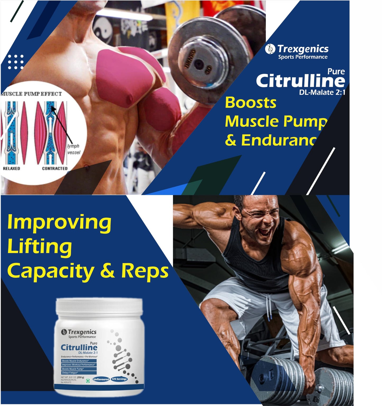 Trexgenics CITRULLINE Pure Powder (125 Servings) Endurance, Muscle Pump, Fatigue Control (250 gm) (Pack of 1)