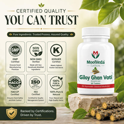 Moolveda 100% Pure and Natural Giloy Ghan Vati Tablet For Immunity Boosting, Use for Enhances Strength & Stamina, Detoxifies the Body (Pack Of 2)