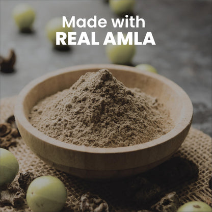 Smart Organics Amla Seedless Powder | Pure and Natural Indian Gooseberry Powder | Rich in Vitamin C & Antioxidants No Additives | Supports Hair, Skin and Immunity (100g)
