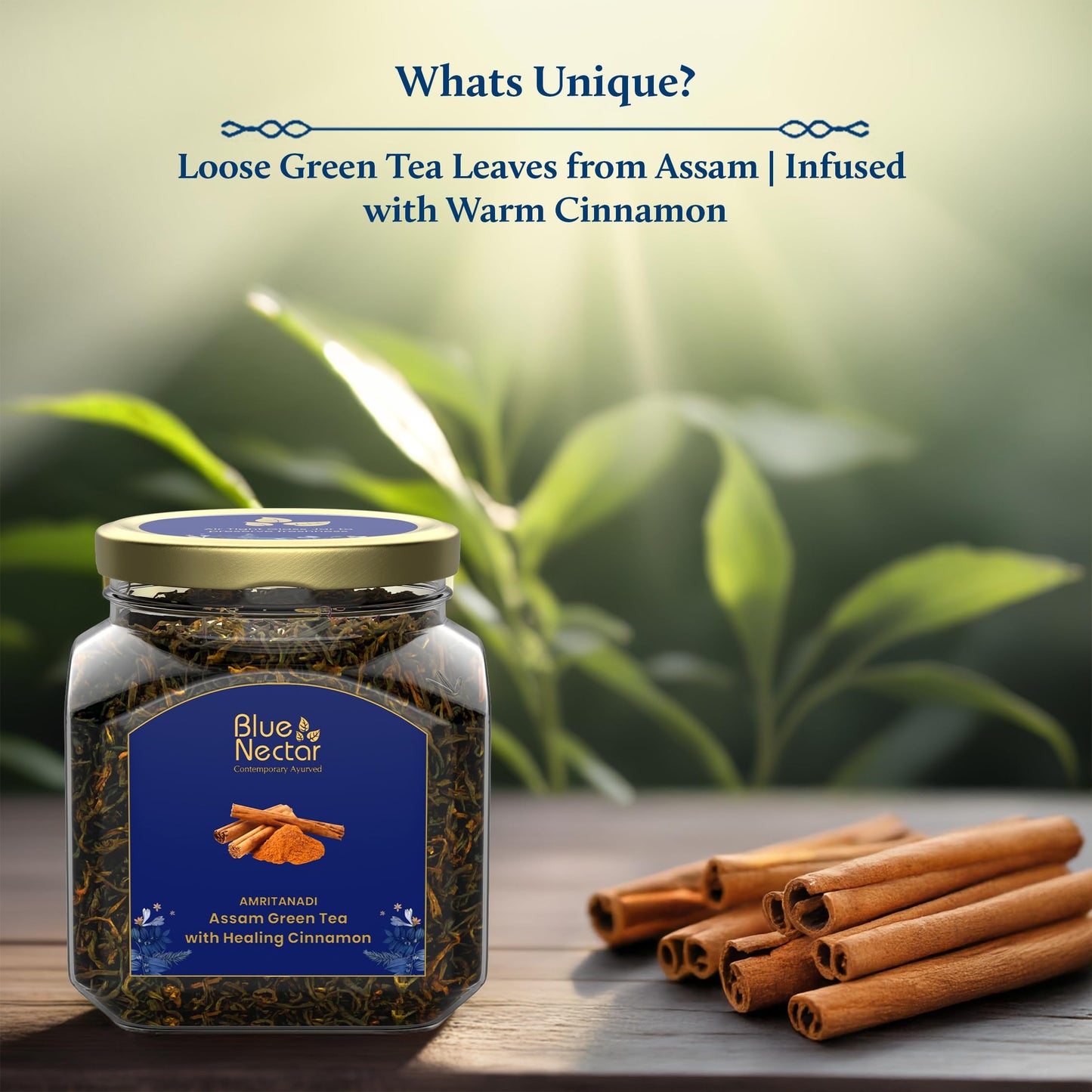 Blue Nectar Cinnamon Loose Green Tea Leaves | Metabolism Booster Himalayan Green Tea in Air-Tight Glass Jar | Includes Free Tea Infuser (65g)