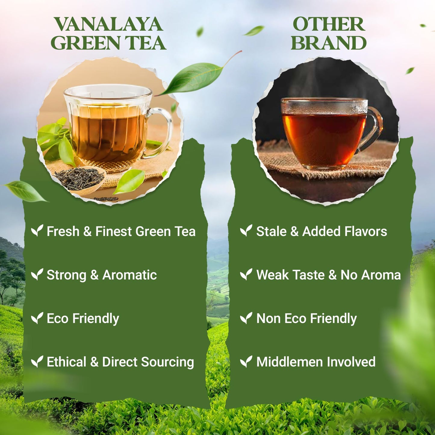 Vanalaya Classic Green Tea For Weight Loss Loose Leaf Green Tea Tin 100gm