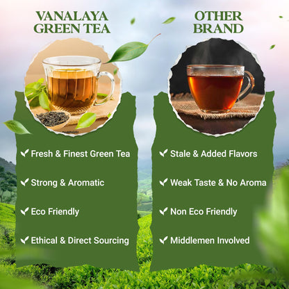 Vanalaya Classic Green Tea For Weight Loss Loose Leaf Green Tea Tin 100gm