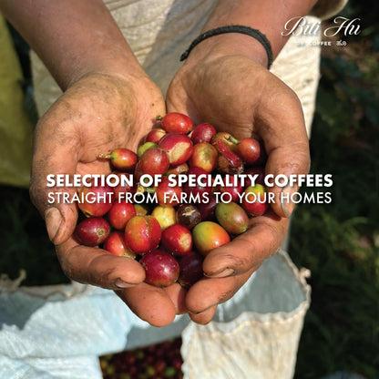 Bili Hu Coffee, Mokapot Grind Arabica Coffee Aghora Estate, Medium Roast, (Pack of 1, 250 Gram)