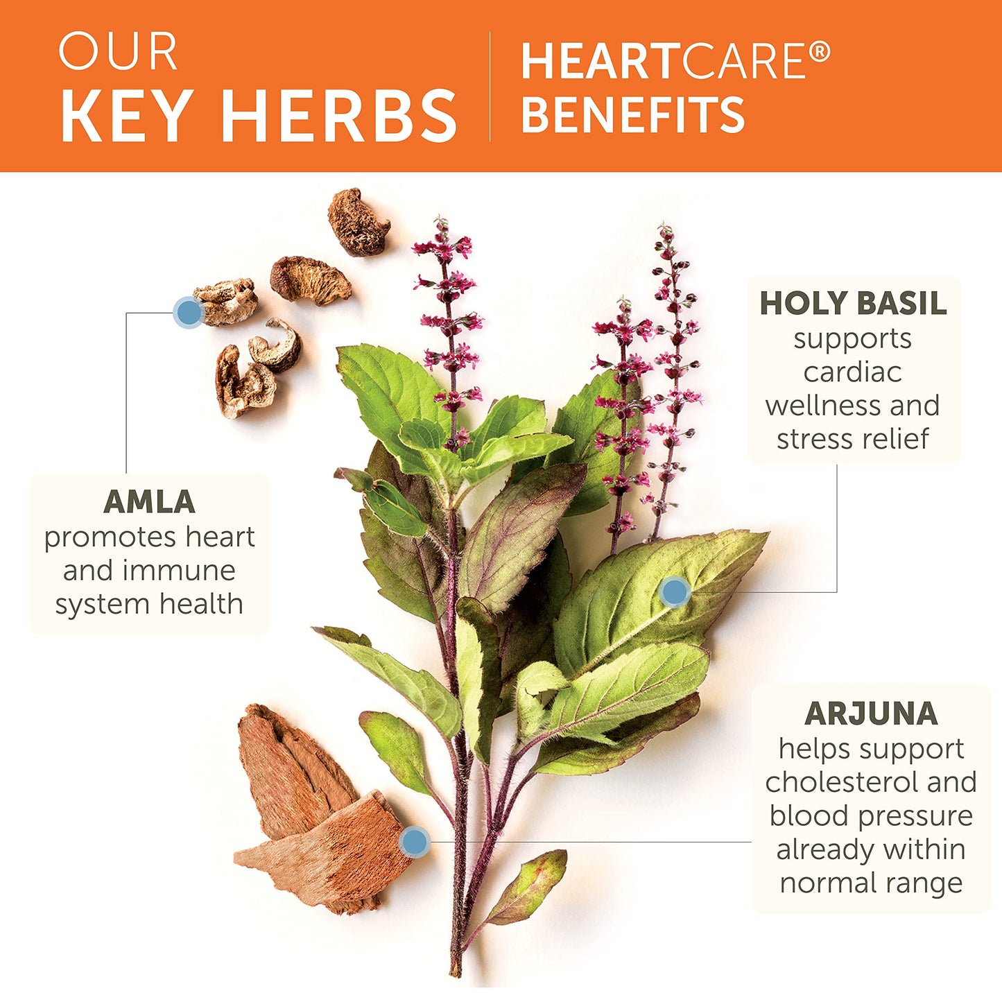 Himalaya Herbal Healthcare Heartcare/Abana Veg-capsules, 120-Count