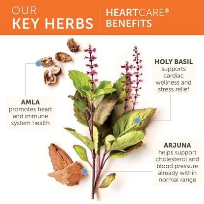 Himalaya Herbal Healthcare Heartcare/Abana Veg-capsules, 120-Count