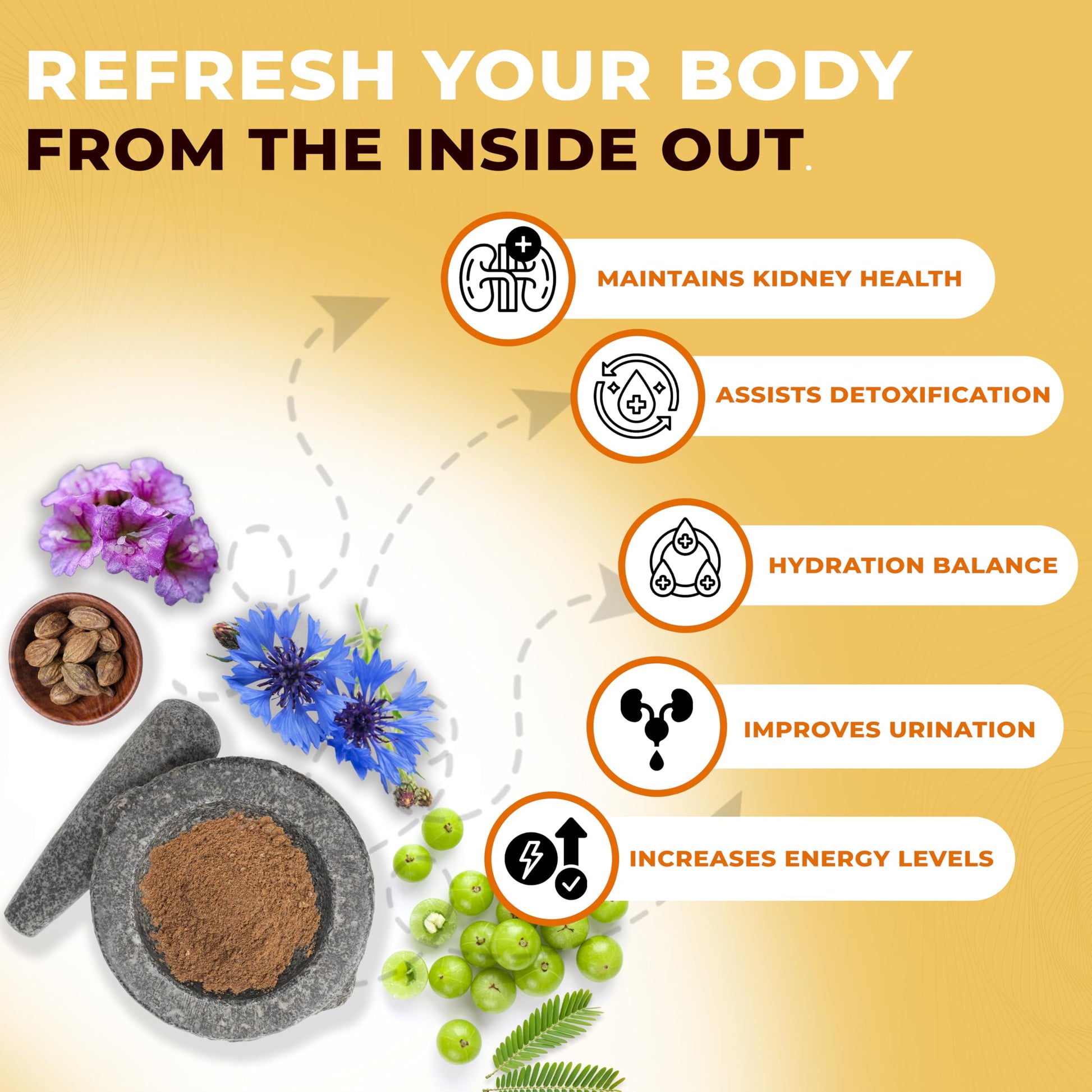 Jeena Sikho Gfr/Kidney Care Powder|Herbal Kidney Detox Powder|Naturally- image 4