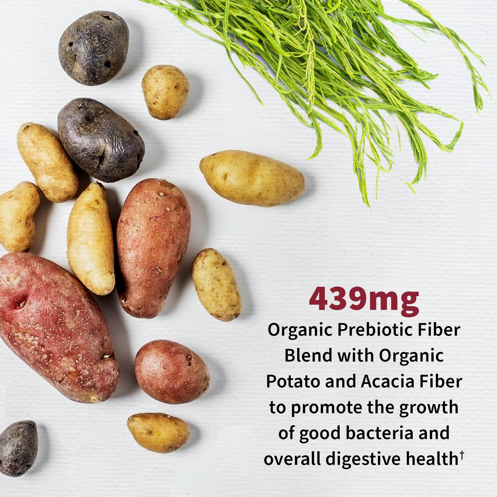 Garden of Life Probiotic Supplement for Urinary Tract Health - Dr. Form- image 2