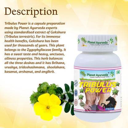 Planet Ayurveda Tribulus Power- Herbal Supplement, 60 Capsules - Gokshur Extract (Tribulus terrestris), 500 mg, Vegetarian